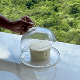 Porta Queijos transparente com passaro dourado